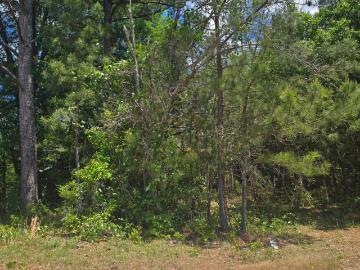 13824 Newberry Road