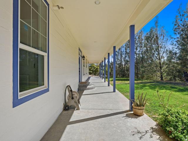 13839 Creek Trail