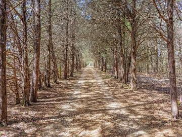 1393 County Road 2250, Ivanhoe, TX 75447 | MLS #20876
