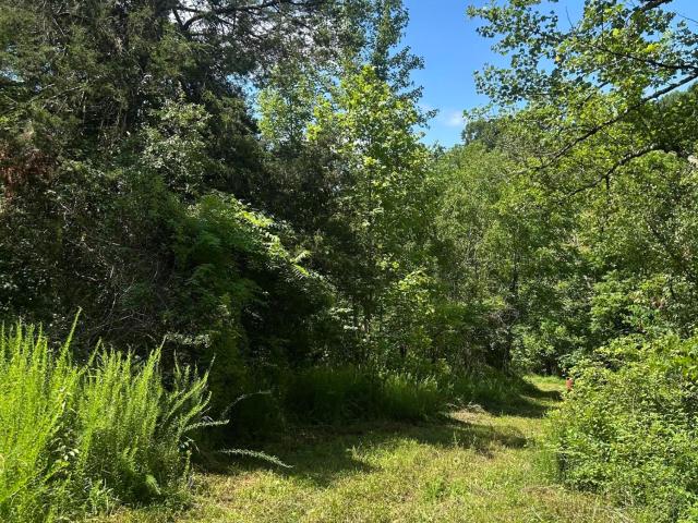 139 Dorsey Tolson Road
