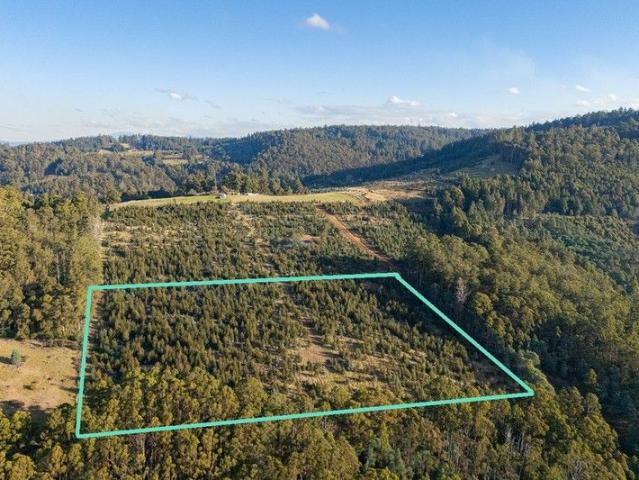 17 Acres Private North Facing Land