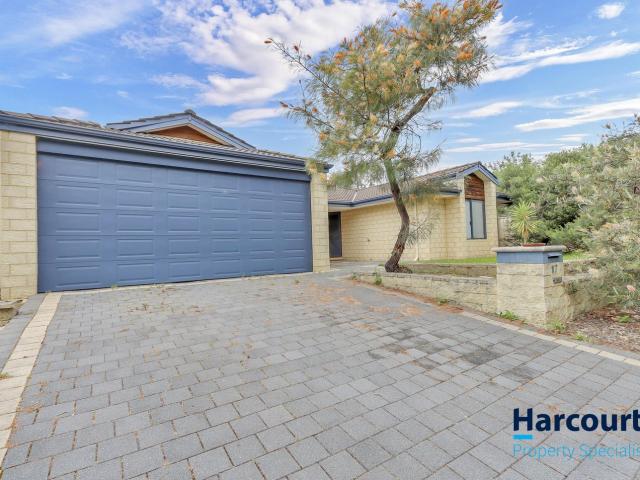 17 Astroloma Drive, SUCCESS, WA 6164
