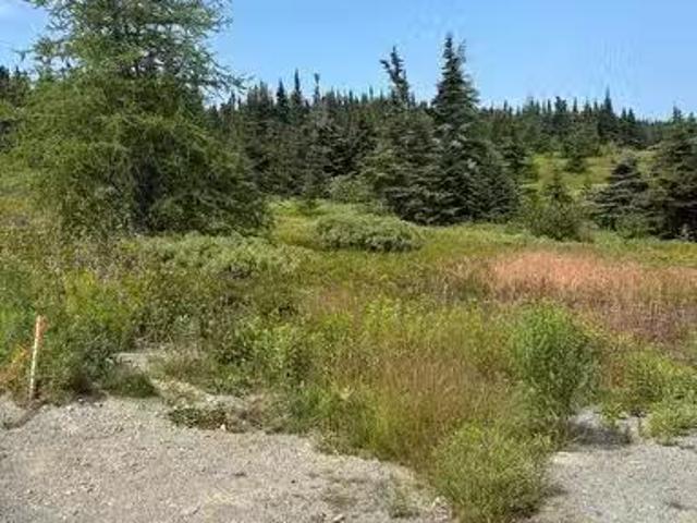 17 Batson'S Road, Port Rexton, NL, A0C 2H0 vacant land for s.