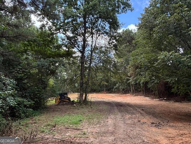 17 Blackberry Creek Drive