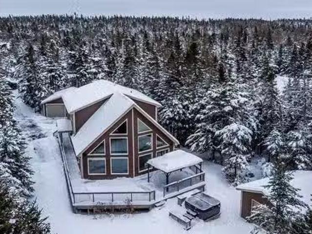 17 Cupids Big Pond Road, Makinsons, NL, A0A 2X0 house for sa.