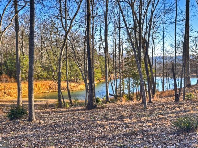 17 Dial Mountain Dr, Unit 1 2, Morganton, GA 30560 | MLS #10710