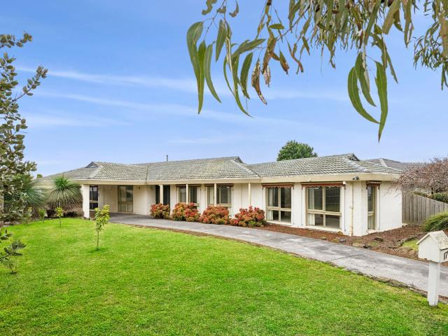 17 Fairfield Avenue, Belmont VIC, Australia