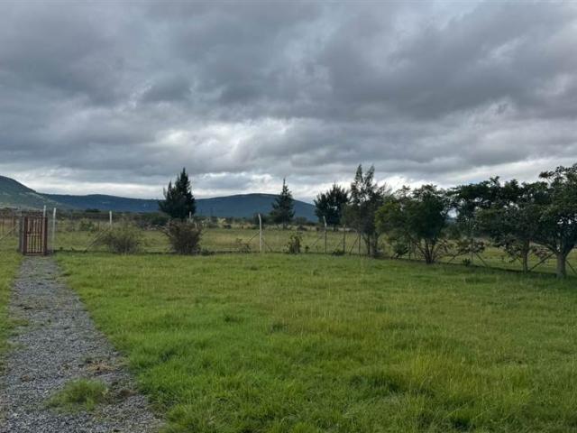 11 Bedroom House in Alice