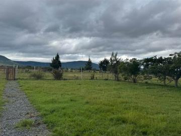 11 Bedroom House in Alice