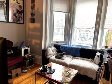 17 Horsfield Suite 4