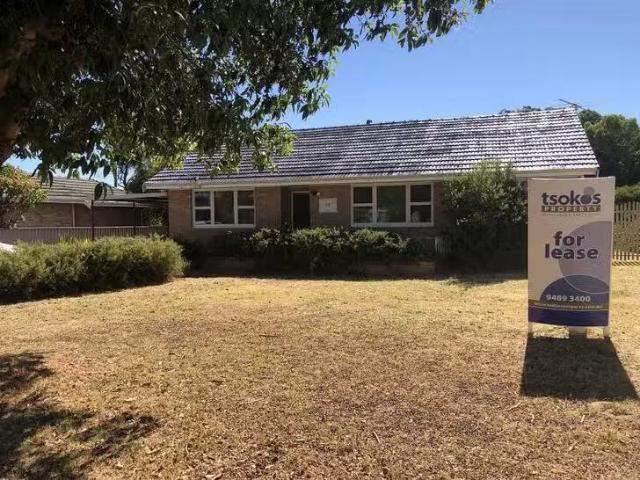 17 Knight Avenue, Yokine, WA 6060
