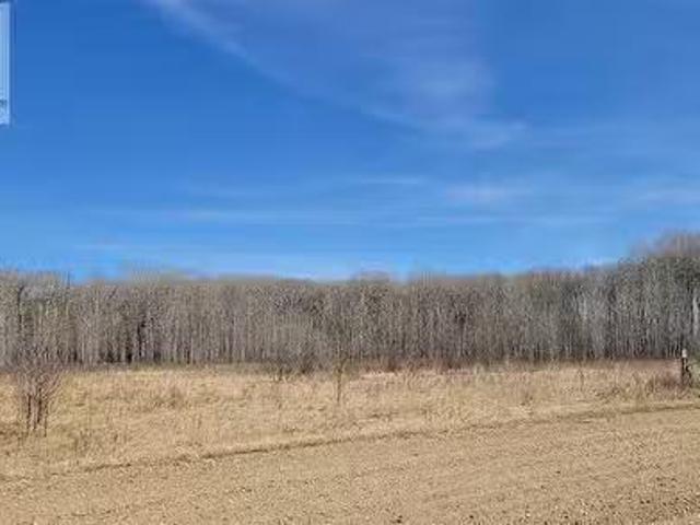 17 Lakeshore Drive, Saltcoats Rm No. 213, SK, S0A 0B2 vacant.