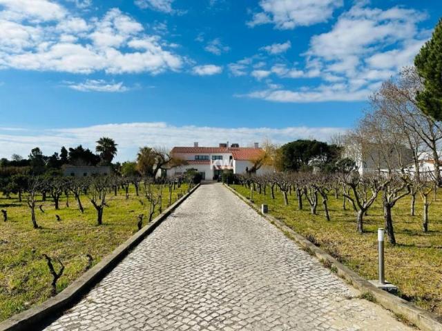 17 quarto, Alenquer Alenquer 97118532