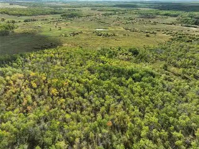 14039 103Ne Road, Armstrong, MB, R0C 1P0 vacant land for sal.