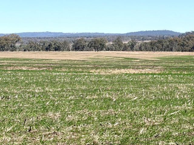 140 Acres of Quality Picturesque Versatile Country! Located only 15 minutes from Toowoomba!