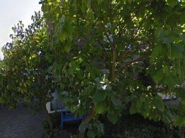 140 m2 apartment for rent in Den Bosch
