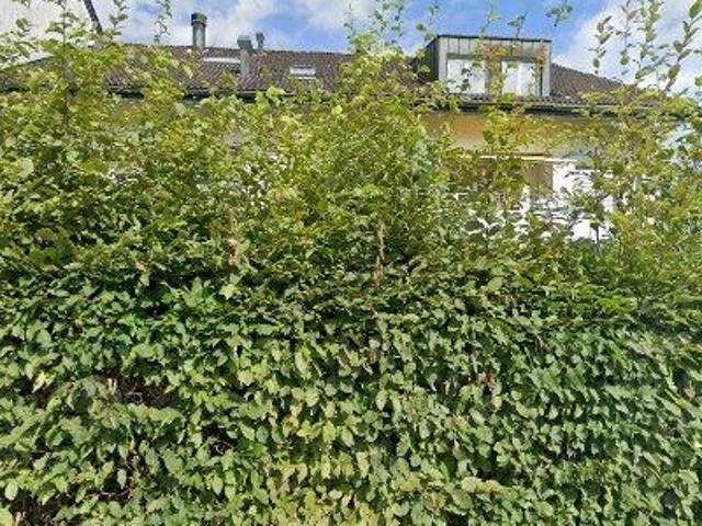 140 m2 apartment for rent in Luzern Land