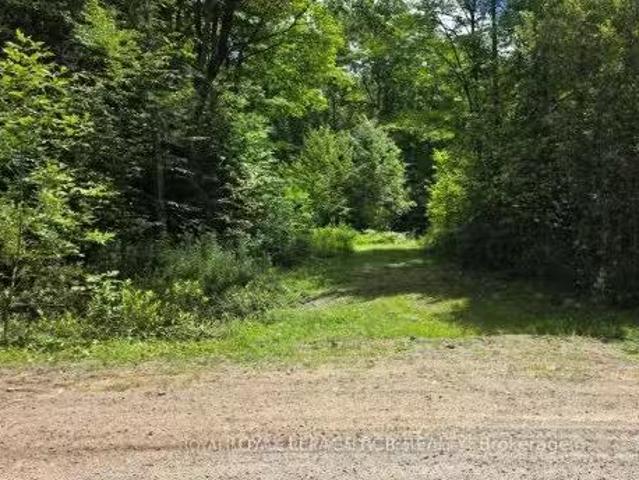 1414 Madill Road, Highlands East, ON, K0M 1R0 vacant land fo.