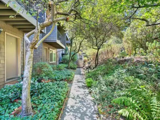 1411 CASA BUENA DR APT 14, CORTE MADERA, CA 94925