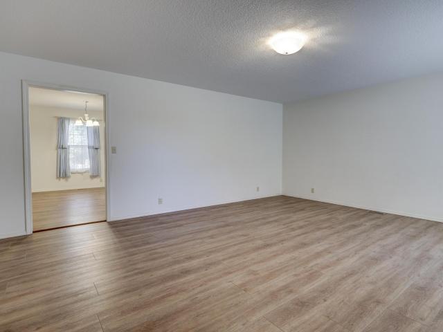 1411 Gold Stream Drive