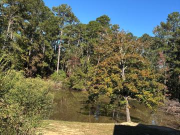 1411 Serenity Creek Drive