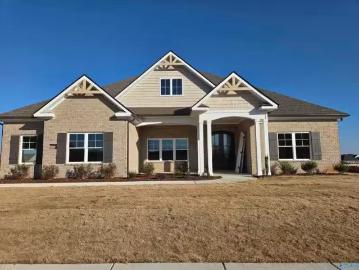 141 BRIER VIEW DR, MERIDIANVILLE, AL 35759