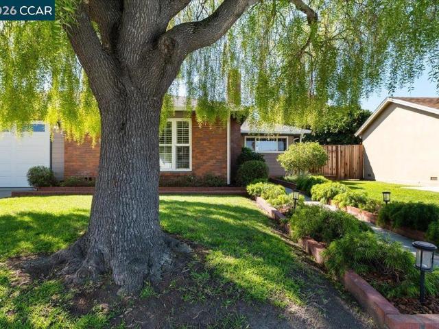 141 Del Mar Dr