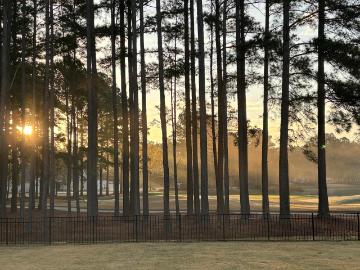 141 Firethorn Ln, Hardeeville, SC 29927 | MLS #194938