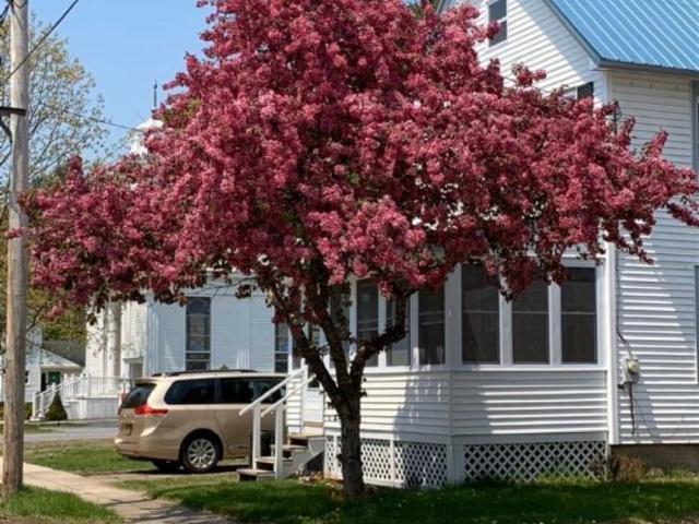 141 Reed Street