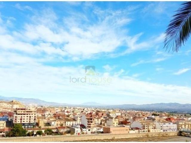 1428. Casa de campo con jardín y 5 dormitorios entre Lorca y Puerto Lumbreras
