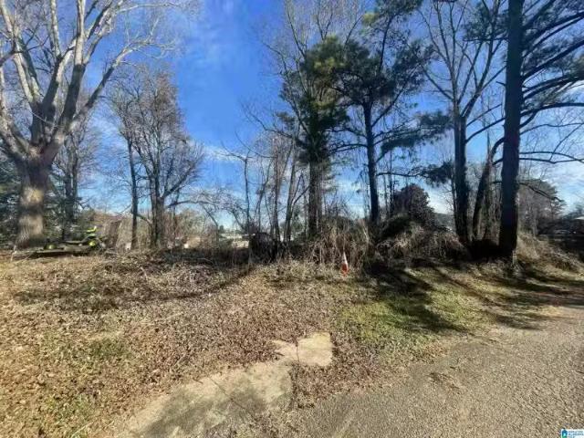 142 6TH CT SW # 142, GRAYSVILLE, AL 35073