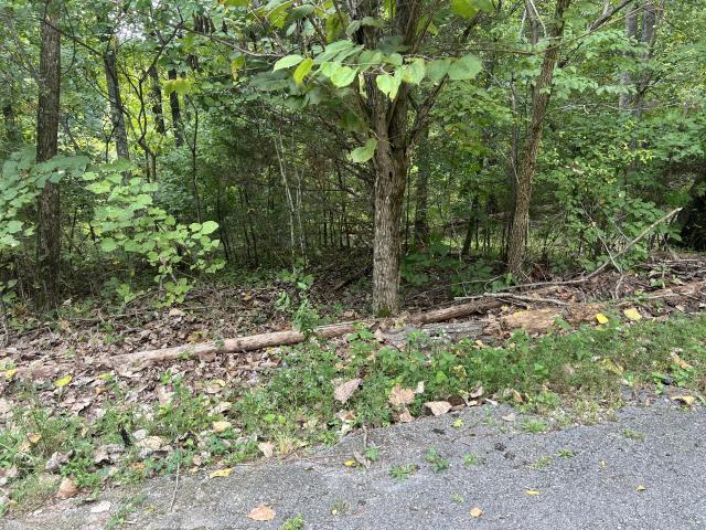142 Hidden Hollow Rd