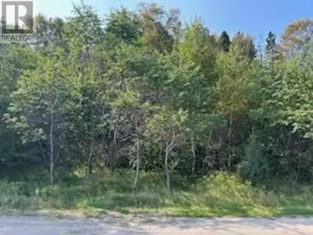 142 Main Street, Traytown, NL, A0G 4K0 vacant land for sale.