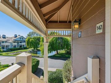 142 Shoreline Ct