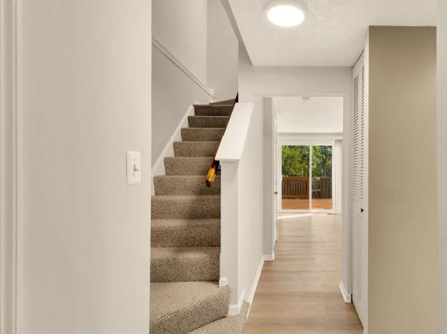 14312 Bald Hill Court