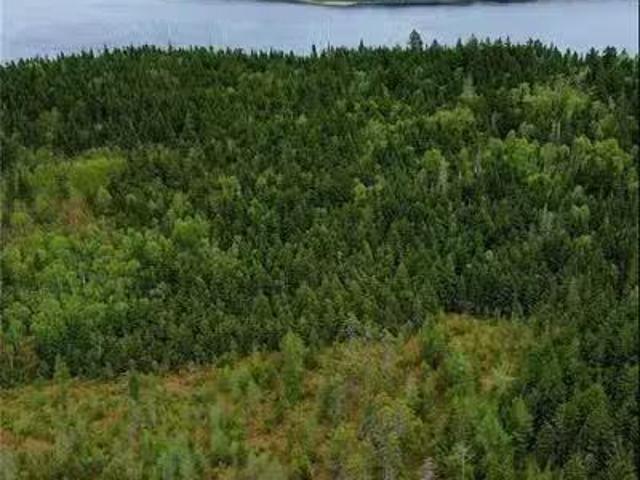 1431 845 Route, Clifton Royal, NB, E2S 2G4 vacant land for s.