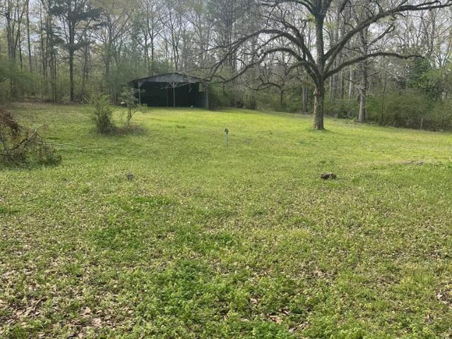 1433 Sam Mcneil Lane