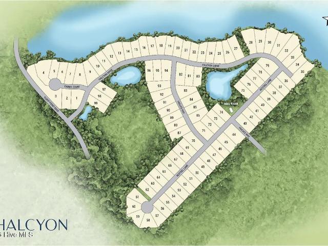 143 Halcyon Drive