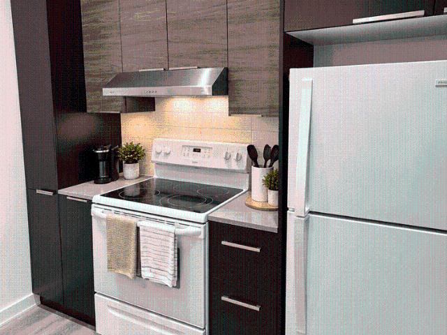 1441 Chemin Gascon 1 Bedroom Apartment for Rent