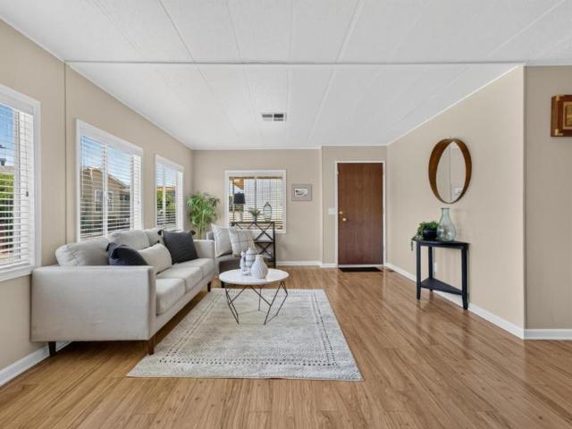 144 Holm Road 14