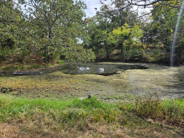 1454 County Road 1210