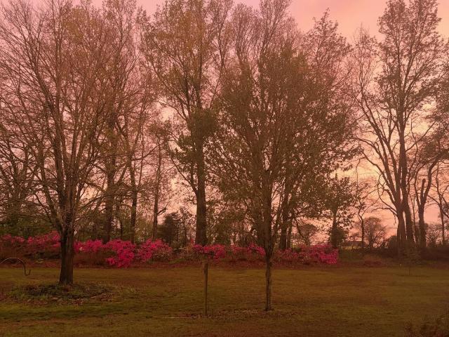 1452 solo rd