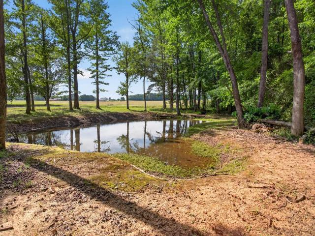 145 Old Sanders Road