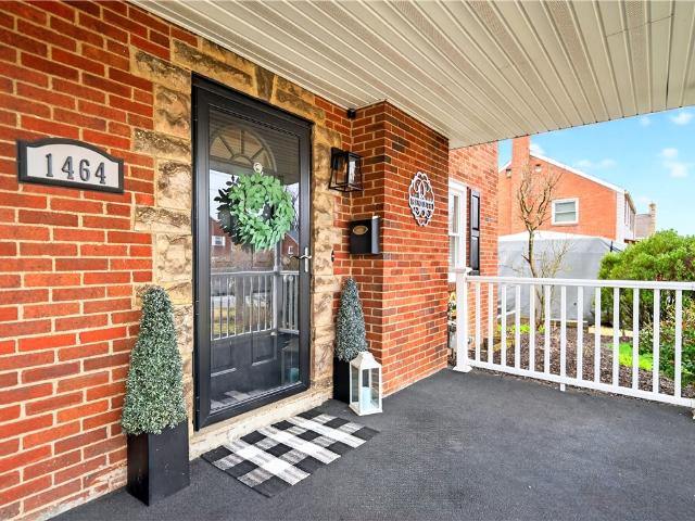 1464 Maple