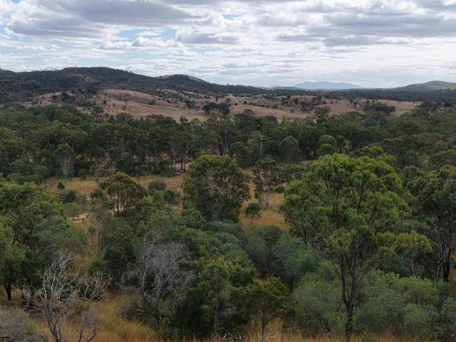 1467 TABLELAND ROAD, CALLIOPE