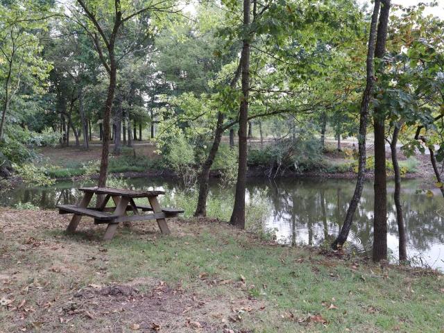 14695 W Farm Road 124