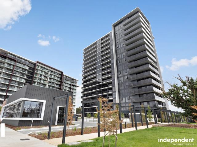 146/11 Irving Street, Phillip ACT 2606 Apartment For Rent | Domain