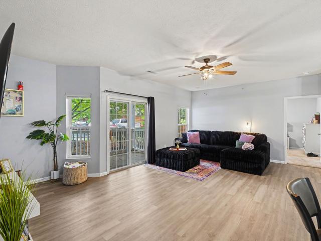 146 Saddlebrook Lane 568