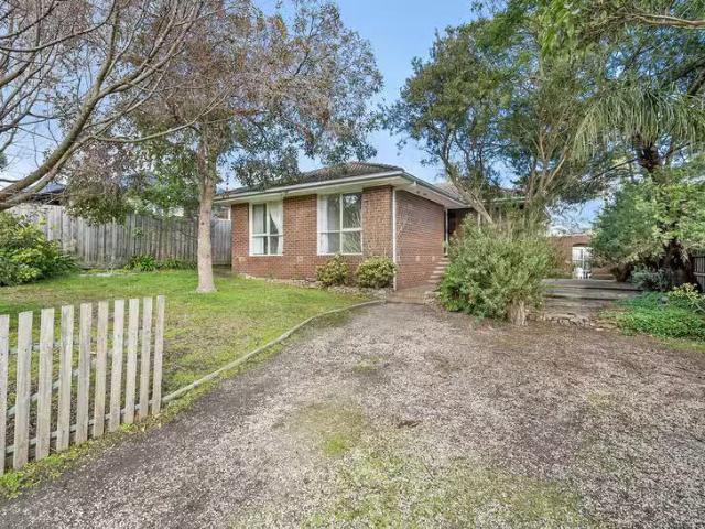 146 Thacker Street, Ocean Grove, VIC 3226