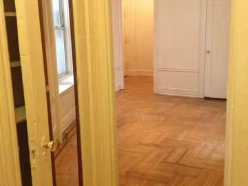 Flatbush, New York city, New York, USA